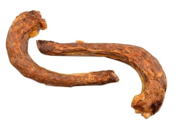 Kynobite kalkoennekken
