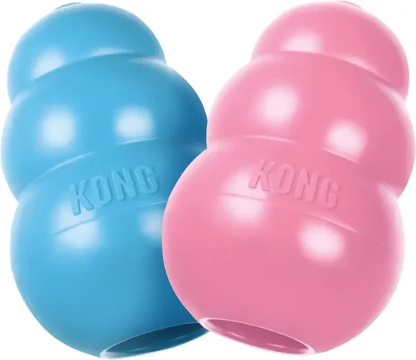 Kong puppy