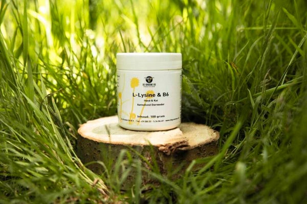 L-lysine & B6 hond&kat 100 gram