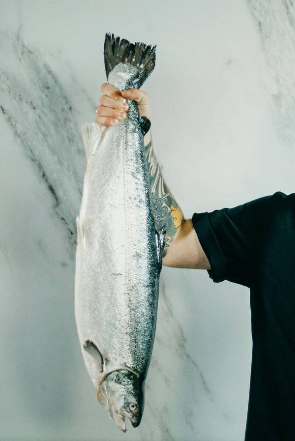 Zalm - trimmings