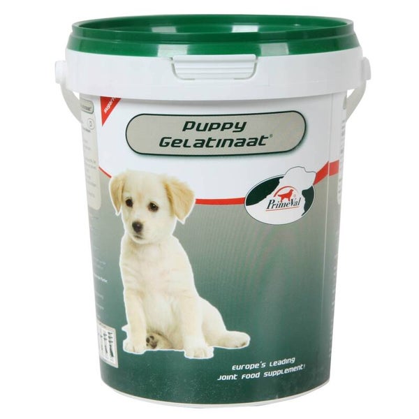 Primeval gelatinaat pup