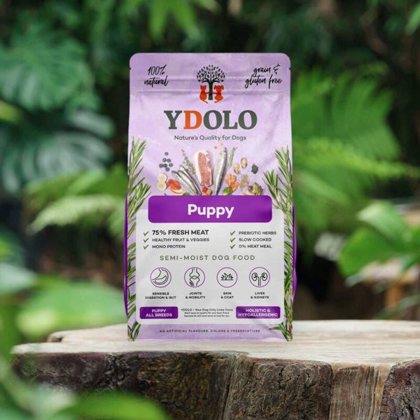 Ydolo healthy&pure puppy