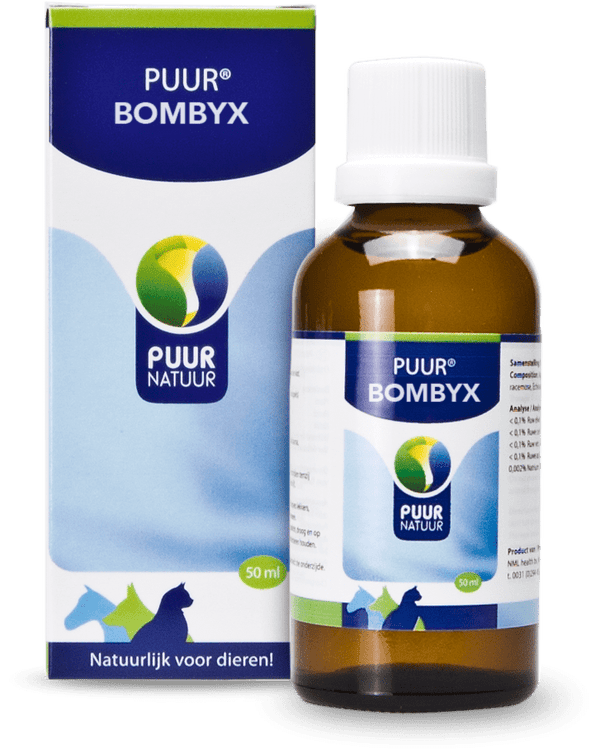 PUUR bombyx (eikenprocessierups)