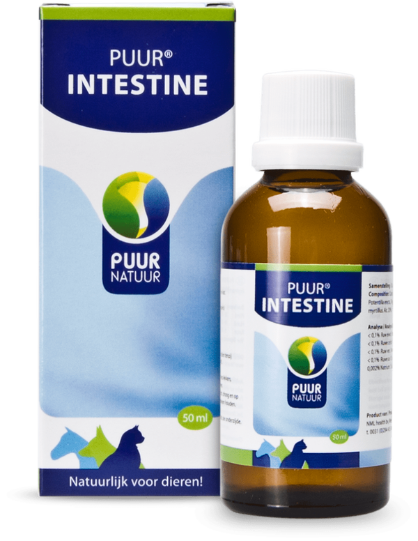 PUUR darm/intestine