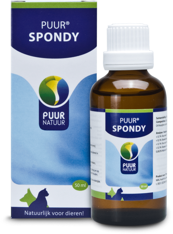PUUR spondy