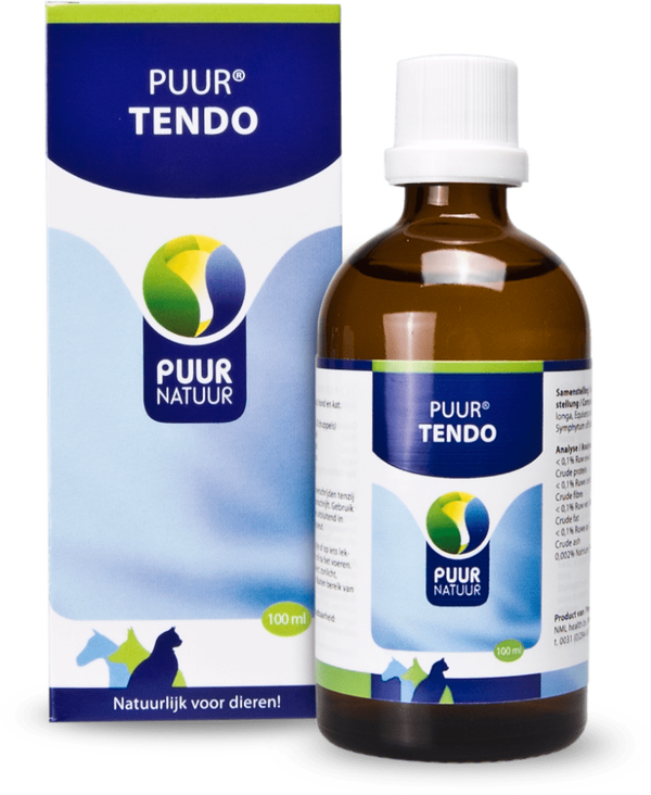 PUUR tendo