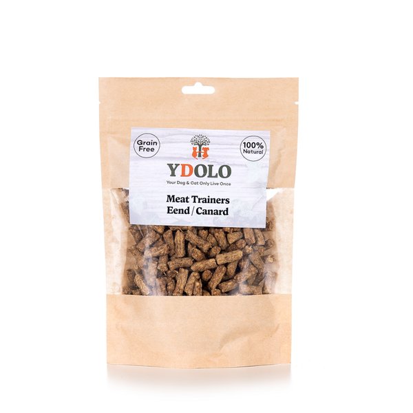 Ydolo trainers eend