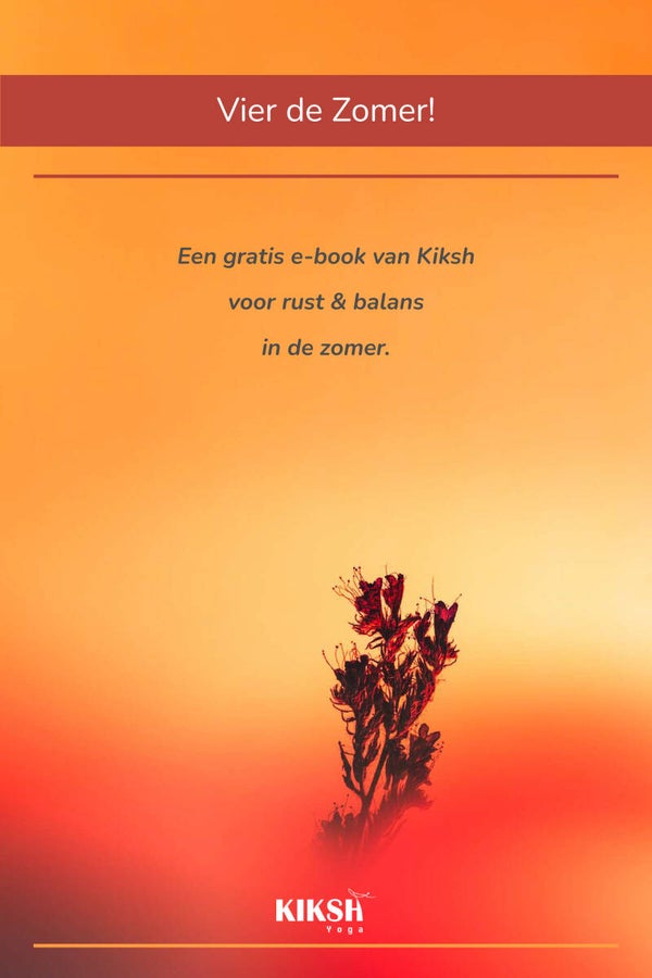 Vier de Zomer!