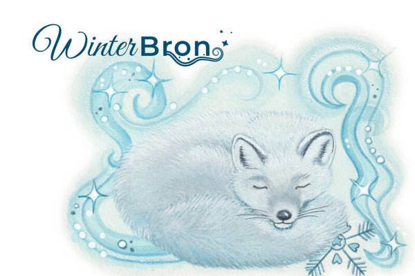Winterbron | Winterse beleving bij jouw thuis