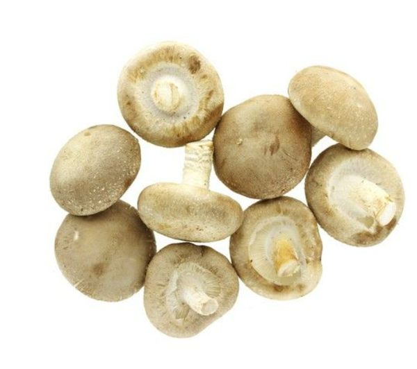 Shitake 150g