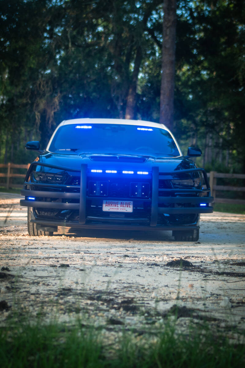 img_4901-standard.jpg