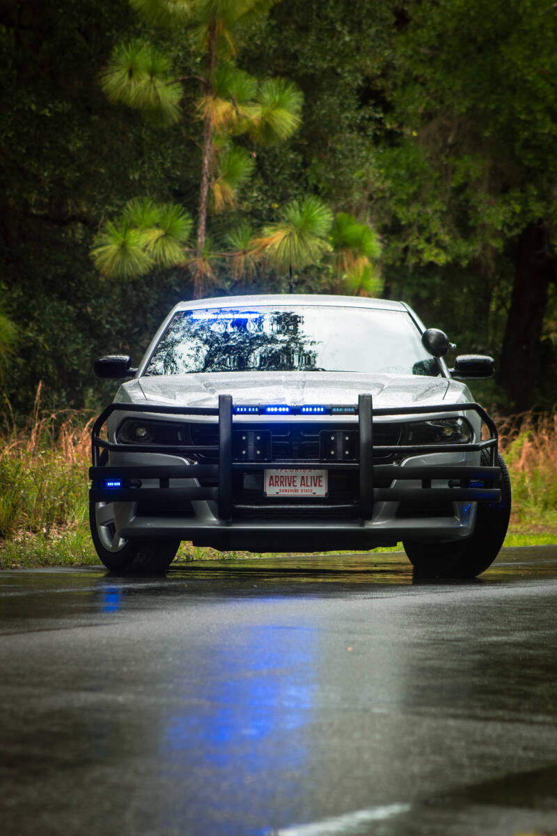 img_4947-standard-bm6m8s.jpg