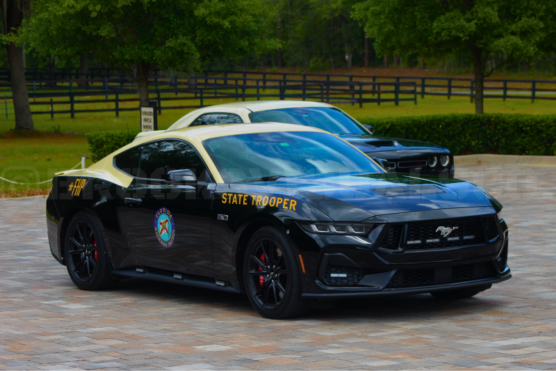 stang-chal2-standard-s6a3pa.png