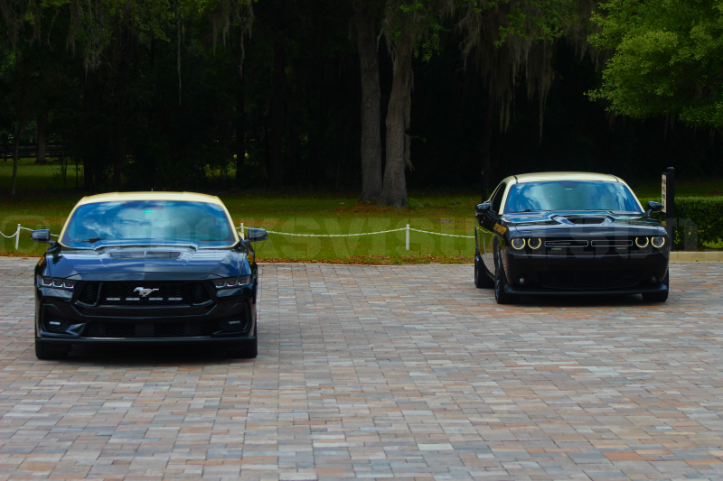 stang-chal3-standard.png