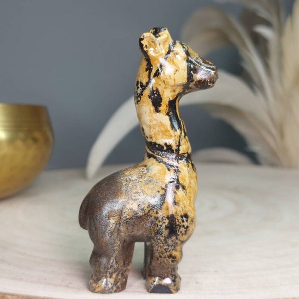 Jaspis Prachtige giraffe van Australische Landschap Jasis