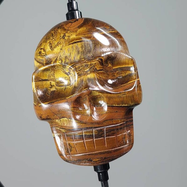 Tijgeroog two sided skull