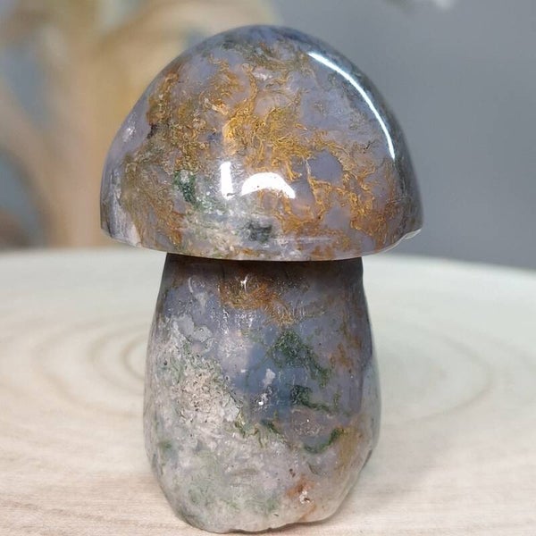 Mosagaat paddenstoel met prachtige kleuren