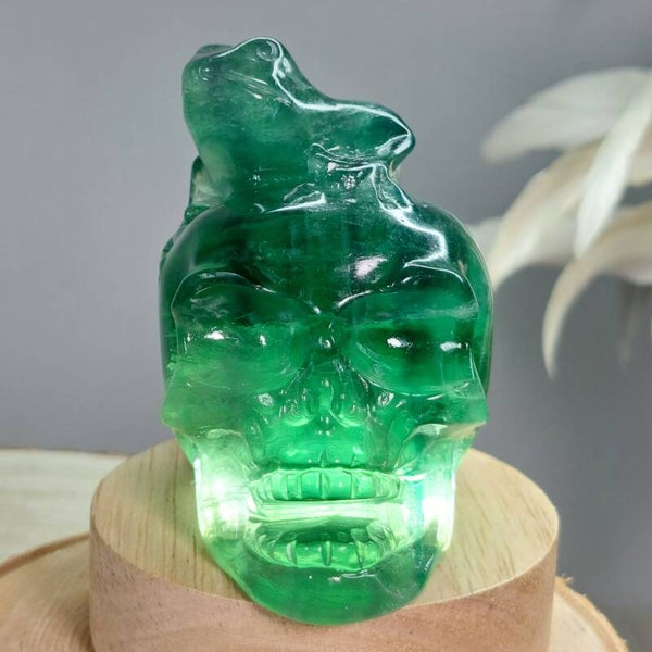 Fluoriet Skull met Kambo kikker. Prachtige uv reactieve schedel