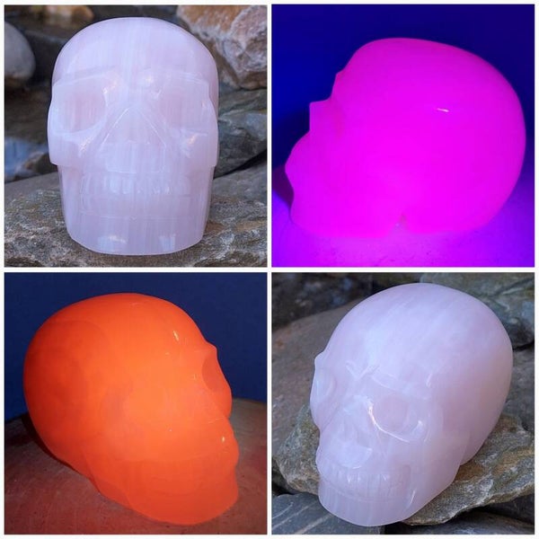 Mangano Calciet grote skull. UV fluoriserend