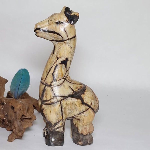 Jaspis Prachtige giraffe van Dendriet Jaspis