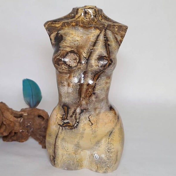 Jaspis Prachtige body van Picture Jaspis, Dendriet Jaspis torso