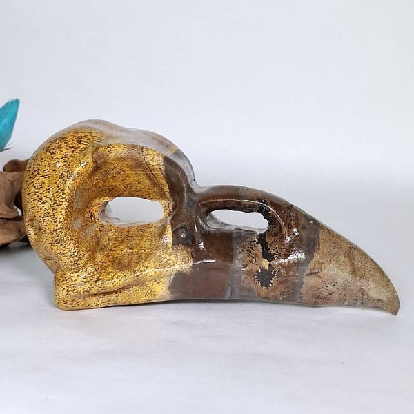 Jaspis Prachtige Raven Skull van Picture Jaspis, Dendriet Jaspis Raaf