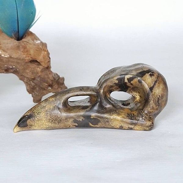 Jaspis Prachtige Raven Skull. Dendriet Jaspis Raaf