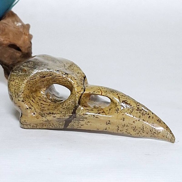Jaspis Prachtige Raven Skull van Dendriet Jaspis Raaf