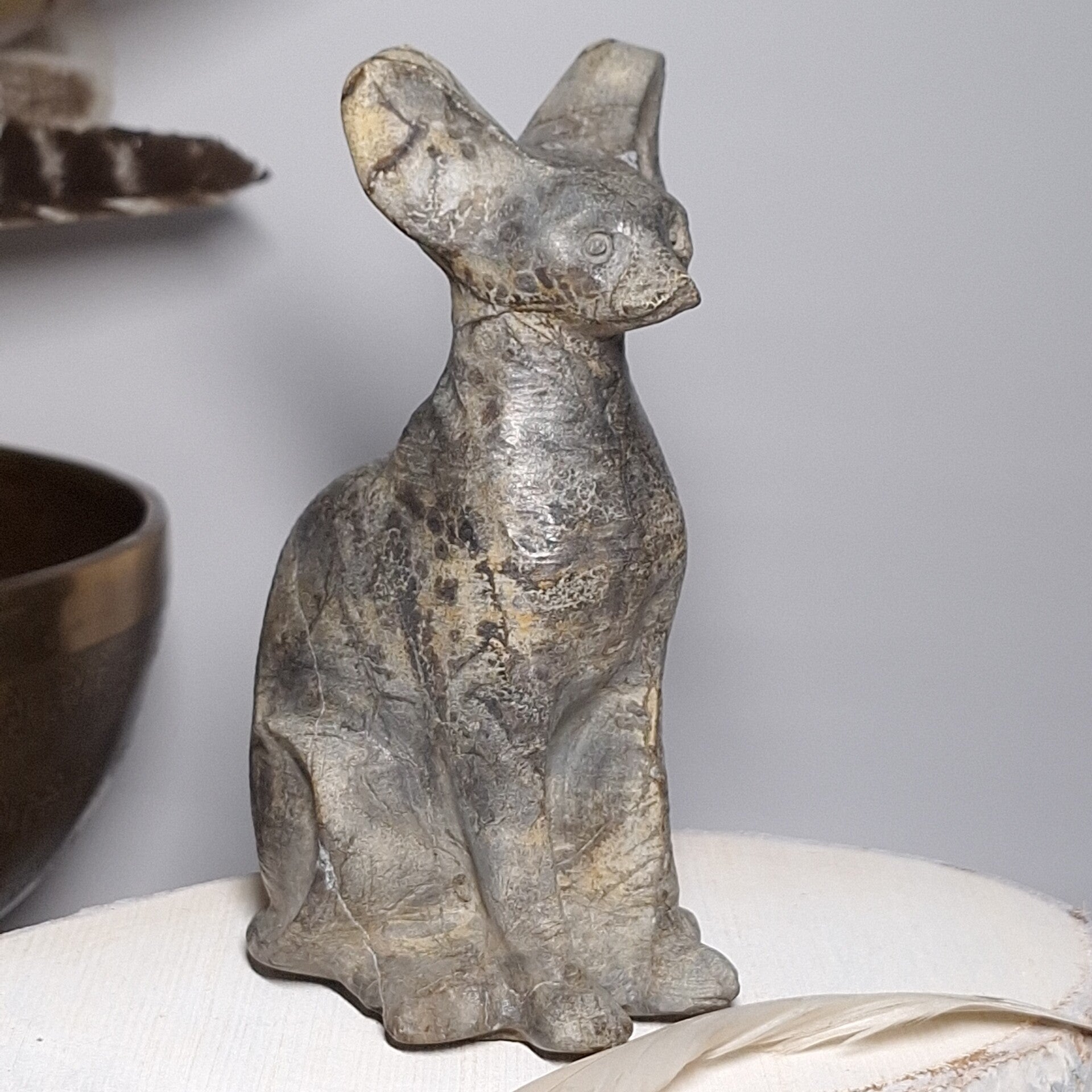 Jaspis Prachtige kat van Landschaps, Dendriet Jaspis