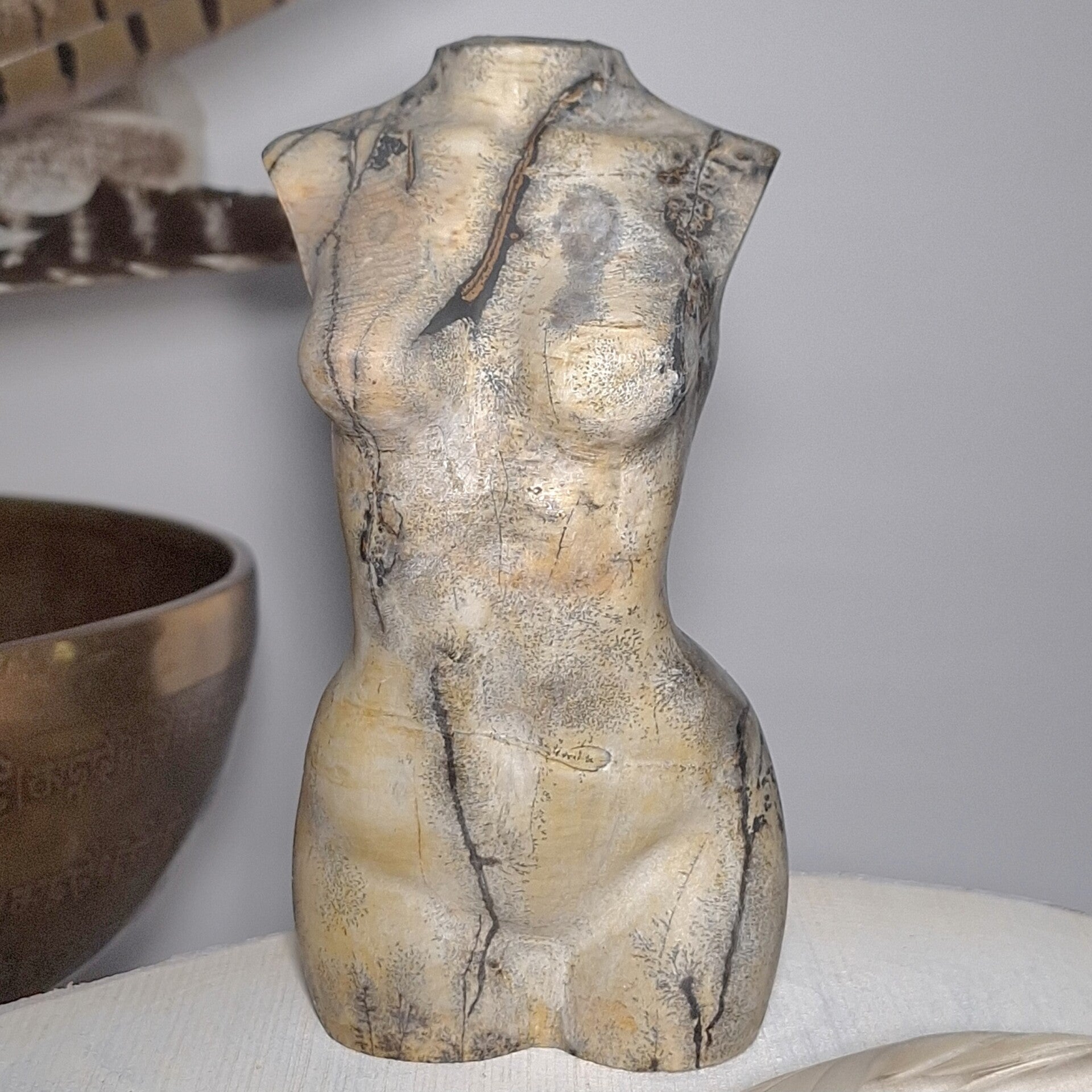 Jaspis Prachtige body van picture Jaspis, Dendriet Jaspis torso