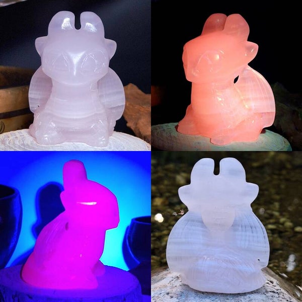 Mangano Calciet draak. Prachtige Fury / Toothless