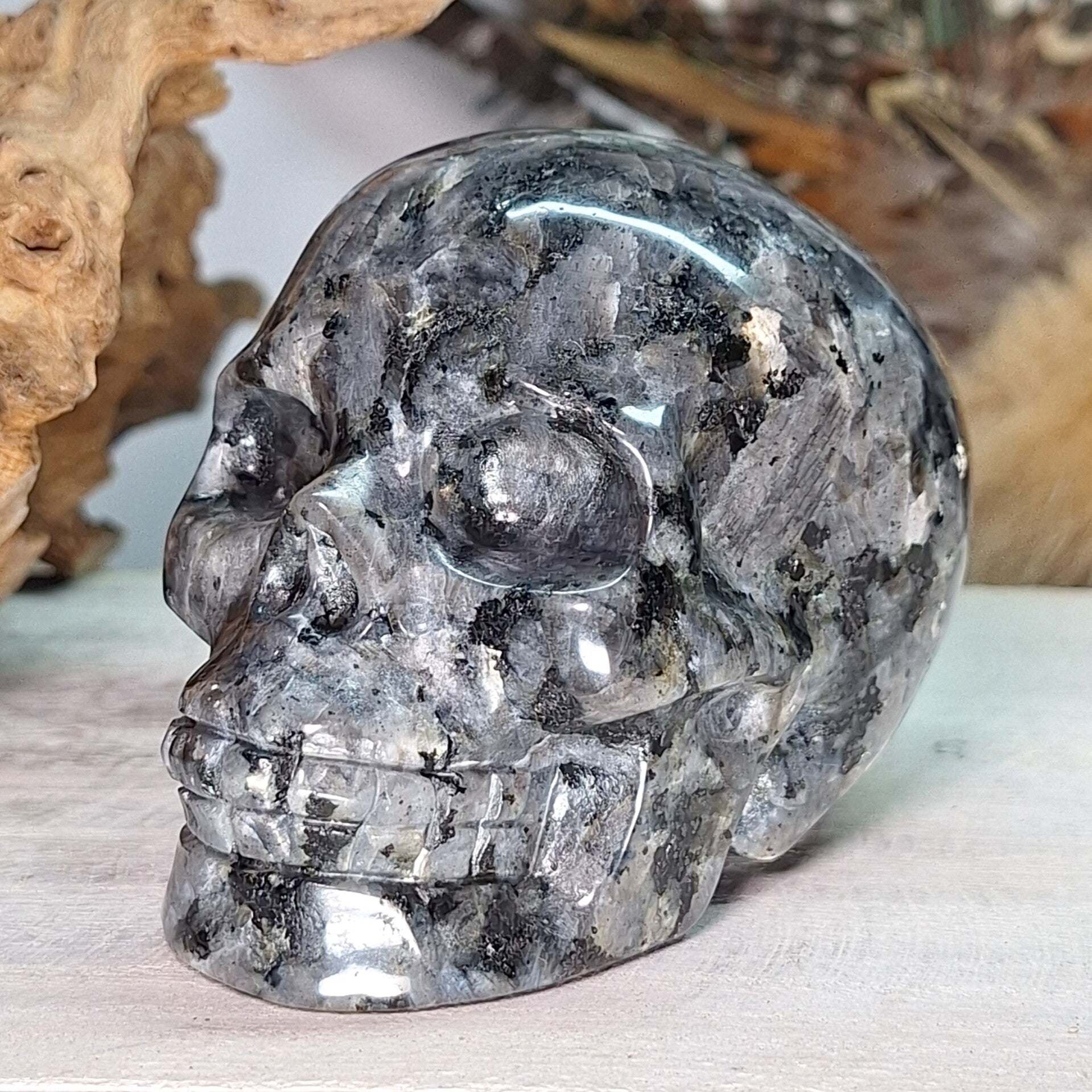 Larvikiet schedel. Mooie skull met veel flash.