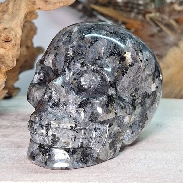 Larvikiet schedel. Mooie skull met veel flash.