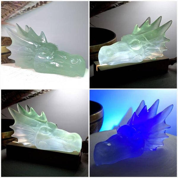 Fluoriet Draak schedel. Prachtige grote uv reactieve Dragon Skull.