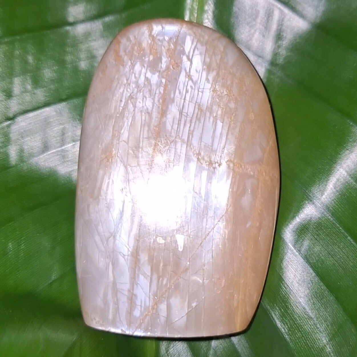 Maansteen sculptuur. Prachtig exemplaar met enorm veel "flash" aan beide kanten