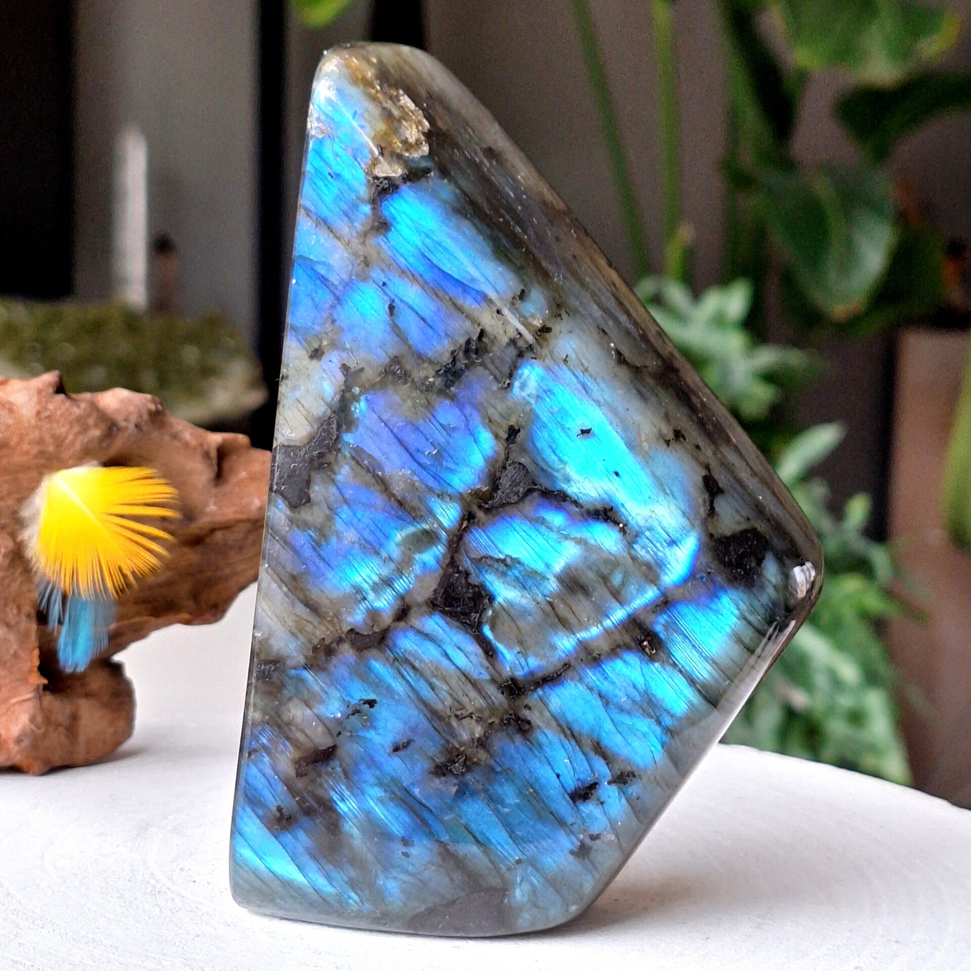 Labradoriet sculptuur