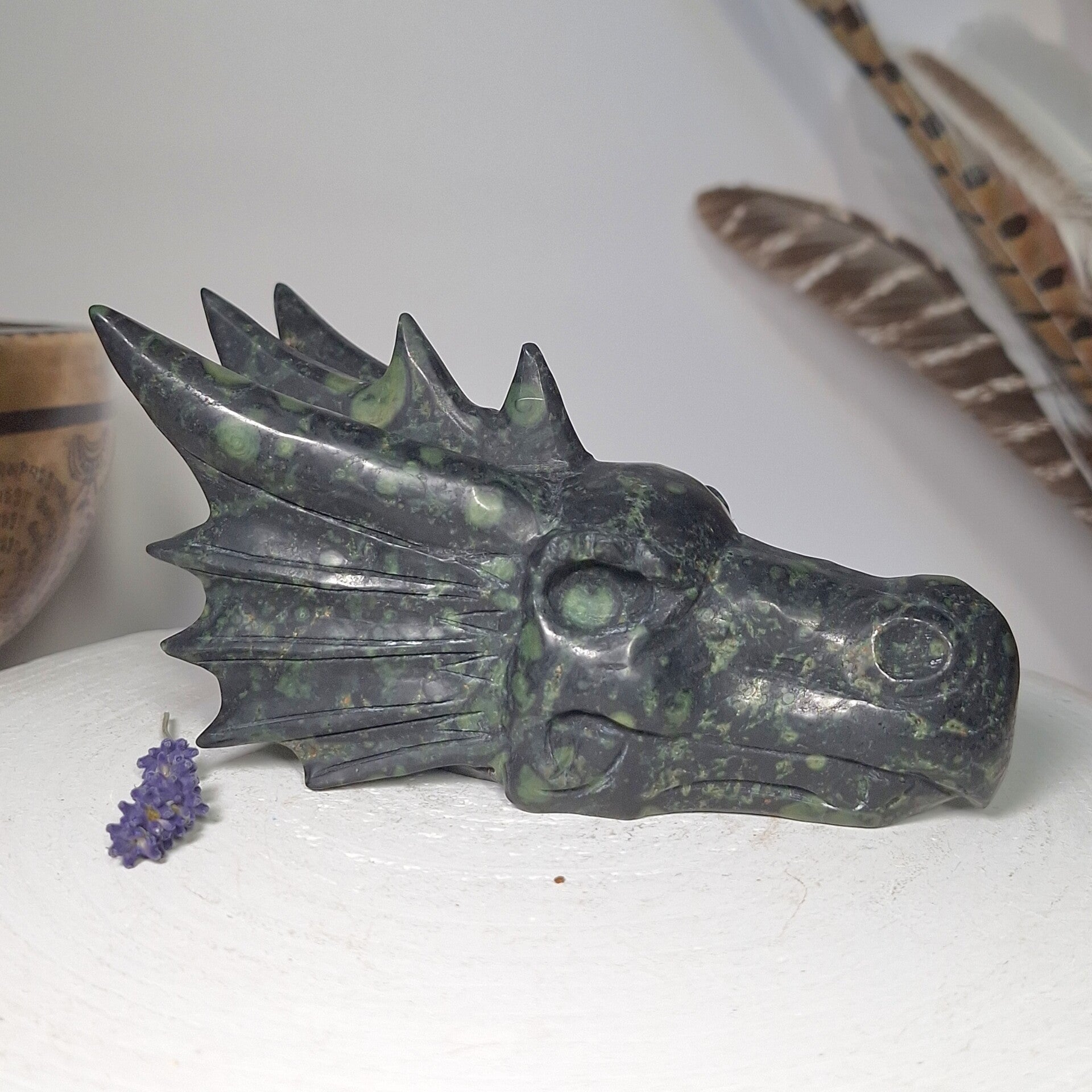 Nebula Stone draak. Prachtige grote Dragon Skull van Nevelsteen.