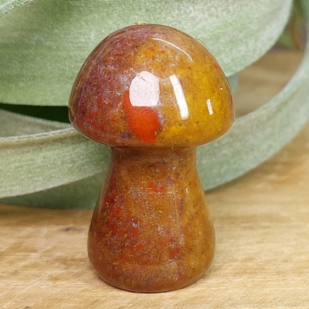 Oceaan Jaspis paddenstoel, prachtig exemplaar van 3,5 cm