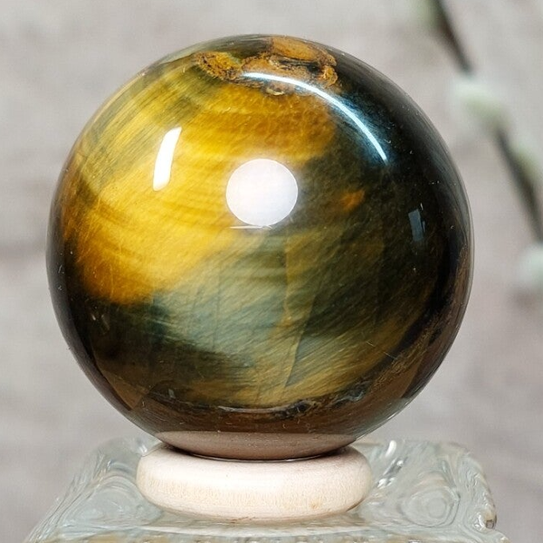 Tijgeroog met Valkenoog bol met prachtige "flash"