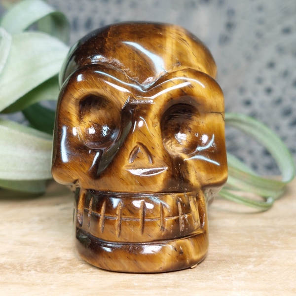 Tijgeroog schedel met prachtige "flash", top kwaliteit Tijgeroog. Traveler Skull