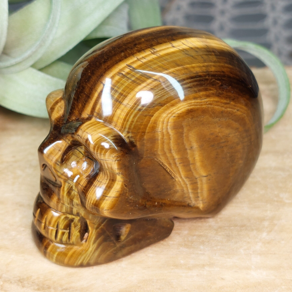 Tijgeroog schedel / skull met prachtige "flash" Top kwaliteit