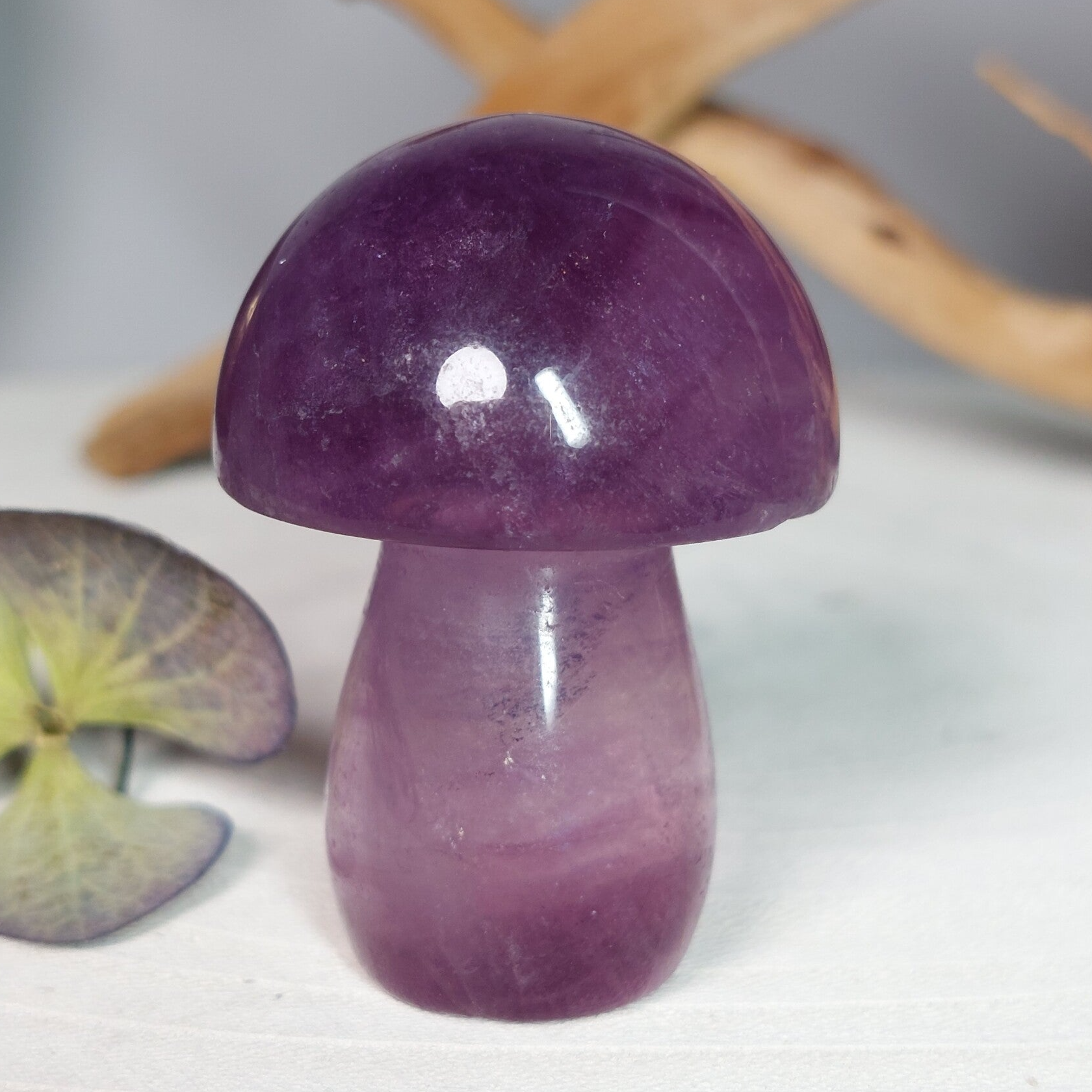 Fluoriet paddenstoel, erg mooi exemplaar.