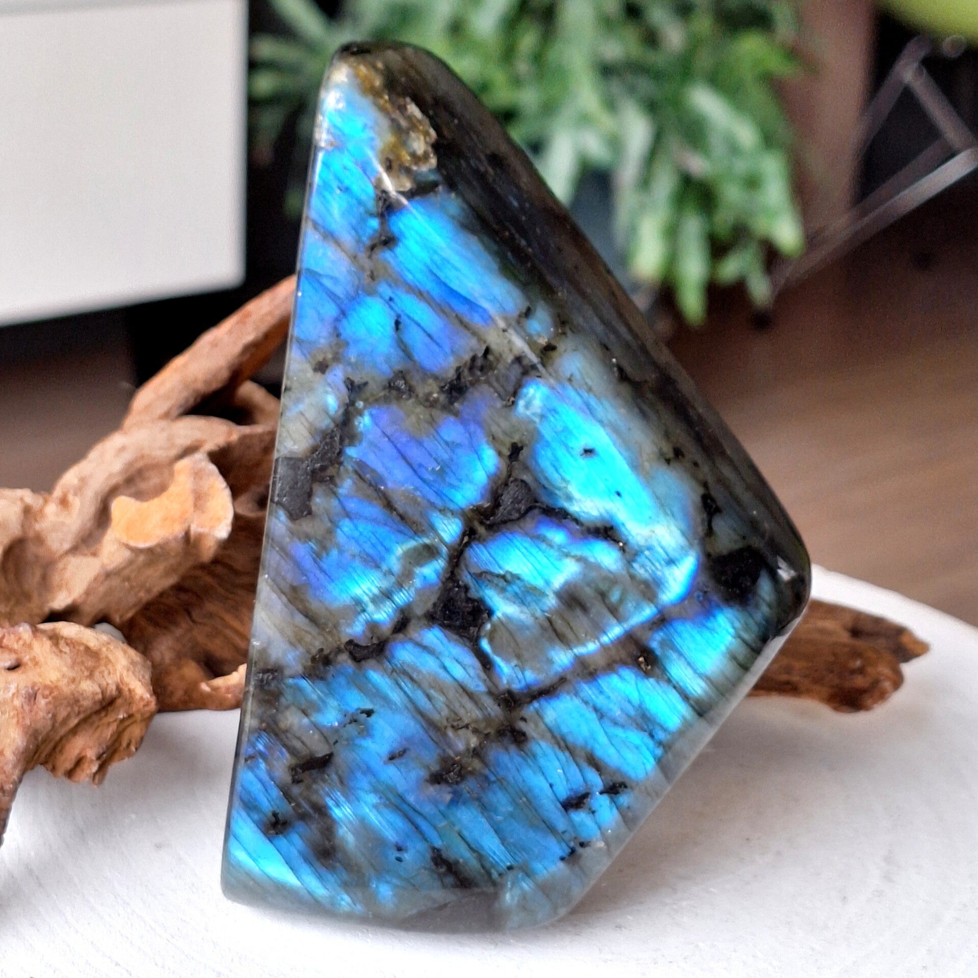 Labradoriet sculptuur