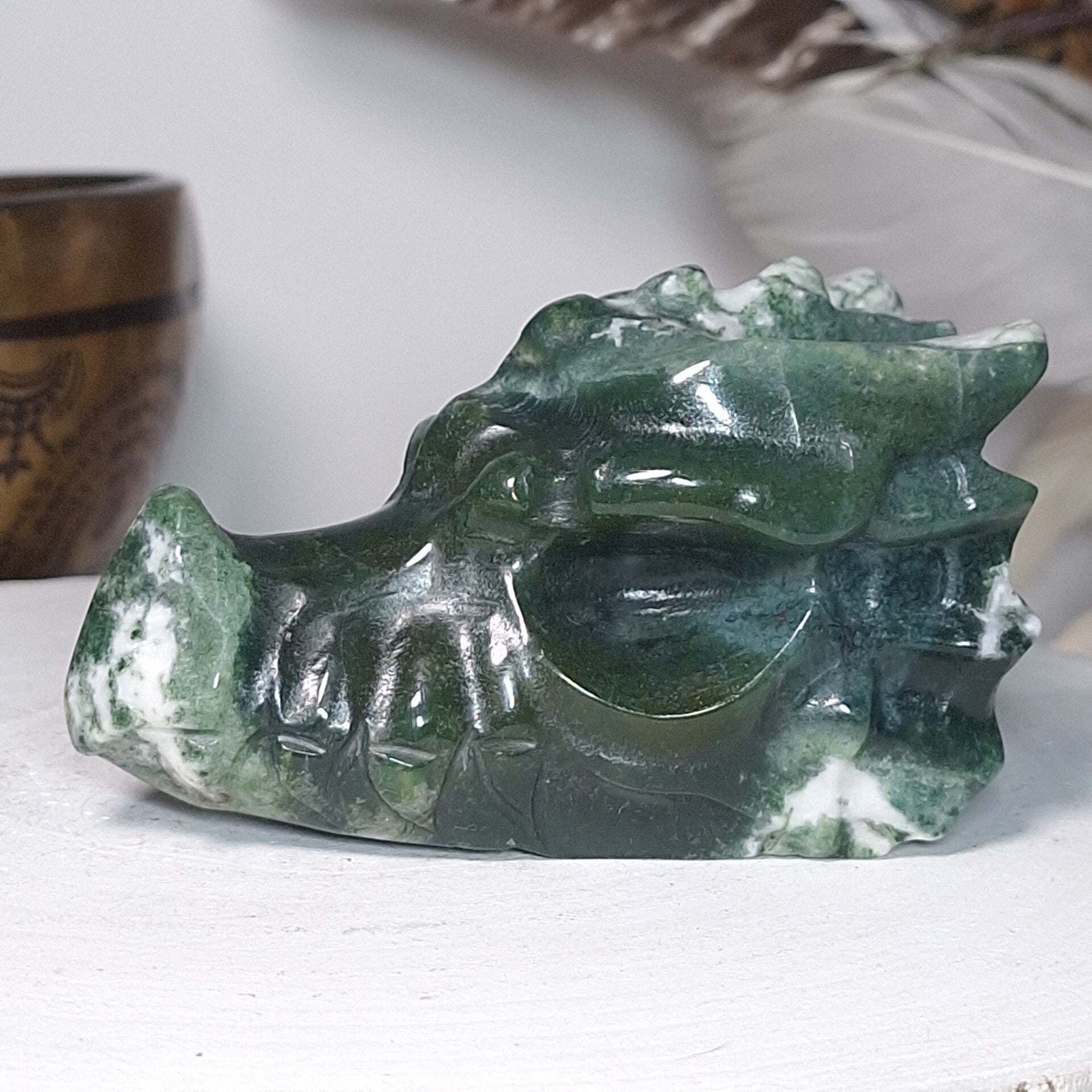 Mosagaat Draak. Prachtige Dragon skull, drakenschedel