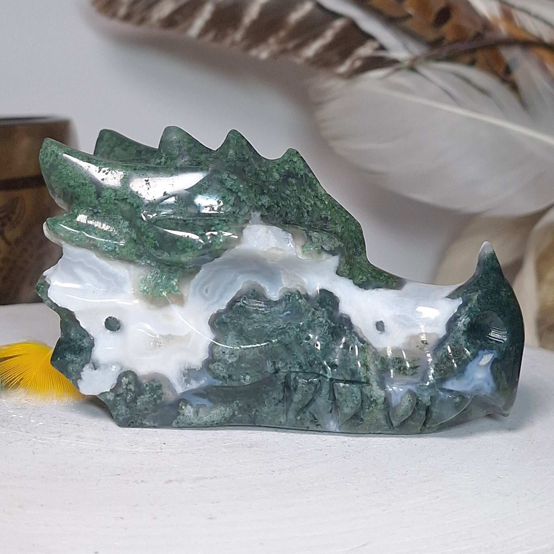 Mosagaat Draak. Prachtige Dragon skull, drakenschedel