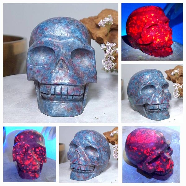 Robijn in kyaniet Skull. Prachtige uv reactieve schedel. Zeer bijzonder exemplaar.
