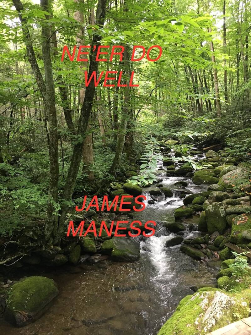 Ne'er Do Well
