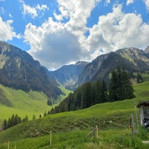 20250518_111954-standard.jpg