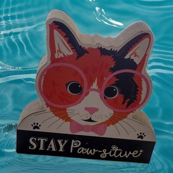 Wooden “Stay Pawsitive” Cat Decor