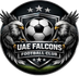 UAE FALCONS INTERNATIOAL FOOTBALL CLUB